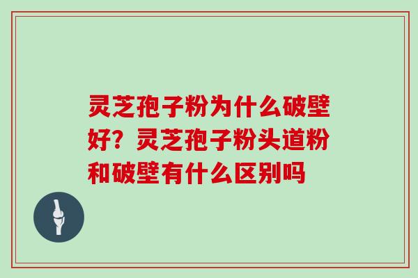 灵芝孢子粉为什么破壁好？灵芝孢子粉头道粉和破壁有什么区别吗