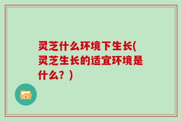 灵芝什么环境下生长(灵芝生长的适宜环境是什么？)