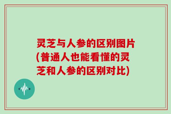 灵芝与人参的区别图片(普通人也能看懂的灵芝和人参的区别对比)