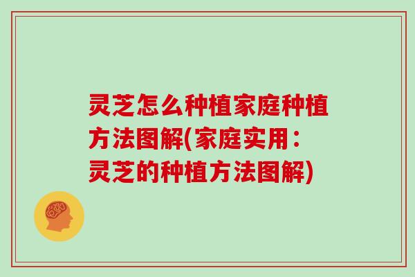 灵芝怎么种植家庭种植方法图解(家庭实用：灵芝的种植方法图解)