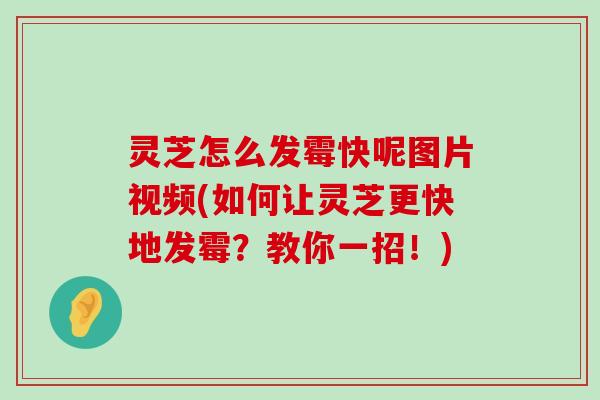 灵芝怎么发霉快呢图片视频(如何让灵芝更快地发霉？教你一招！)