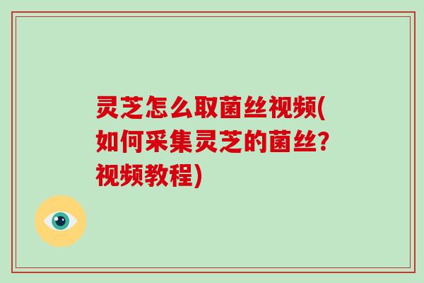 灵芝怎么取菌丝视频(如何采集灵芝的菌丝？视频教程)