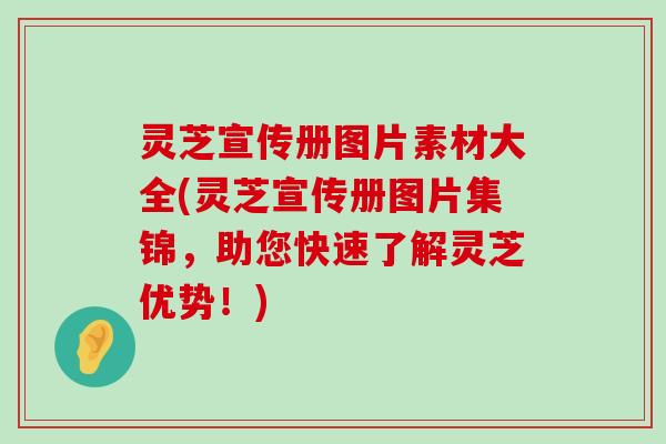 灵芝宣传册图片素材大全(灵芝宣传册图片集锦，助您快速了解灵芝优势！)