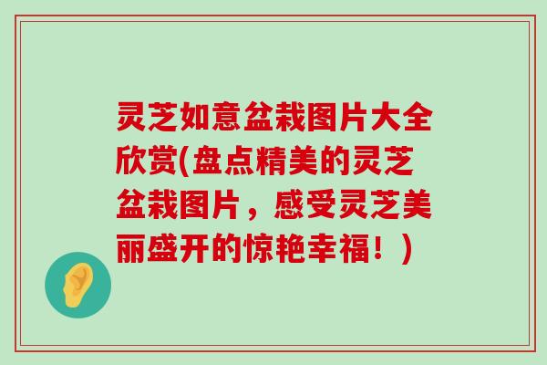 灵芝如意盆栽图片大全欣赏(盘点精美的灵芝盆栽图片，感受灵芝美丽盛开的惊艳幸福！)