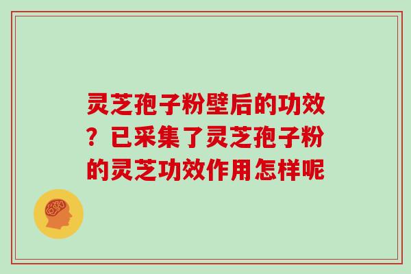 灵芝孢子粉壁后的功效？已采集了灵芝孢子粉的灵芝功效作用怎样呢