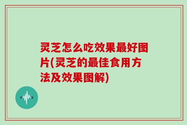 灵芝怎么吃效果好图片(灵芝的佳食用方法及效果图解)