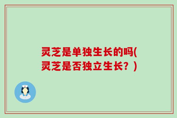 灵芝是单独生长的吗(灵芝是否独立生长？)