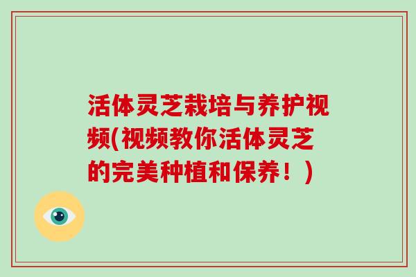 活体灵芝栽培与养护视频(视频教你活体灵芝的完美种植和保养！)