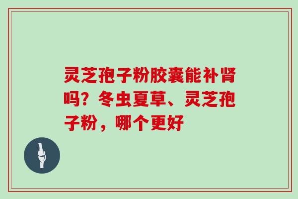 灵芝孢子粉胶囊能补吗？冬虫夏草、灵芝孢子粉，哪个更好