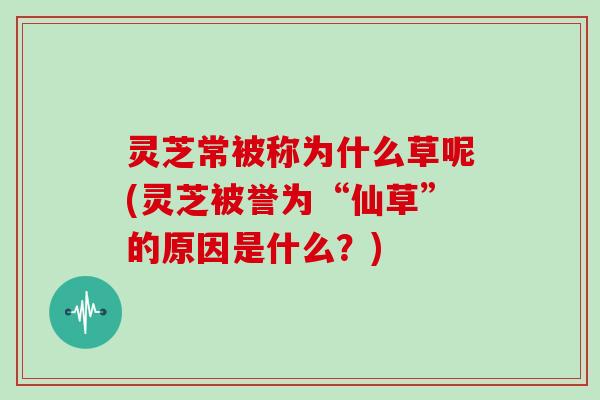 灵芝常被称为什么草呢(灵芝被誉为“仙草”的原因是什么？)