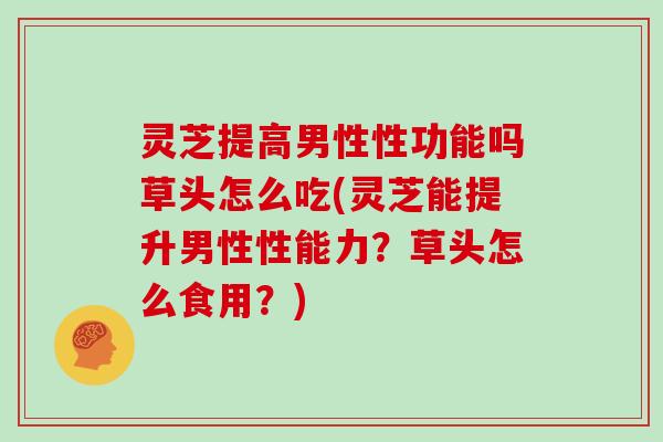 灵芝提高男性性功能吗草头怎么吃(灵芝能提升男性性能力？草头怎么食用？)