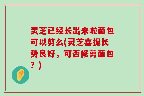 灵芝已经长出来啦菌包可以剪么(灵芝喜提长势良好，可否修剪菌包？)