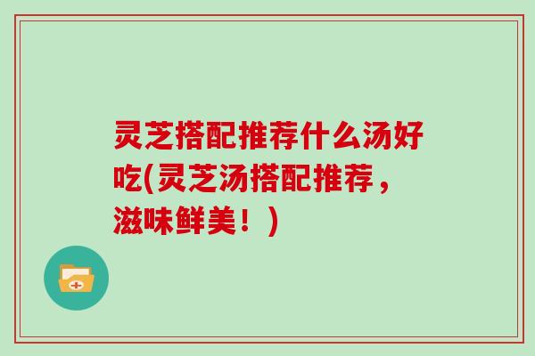 灵芝搭配推荐什么汤好吃(灵芝汤搭配推荐，滋味鲜美！)