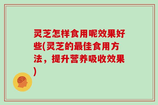 灵芝怎样食用呢效果好些(灵芝的佳食用方法，提升营养吸收效果)