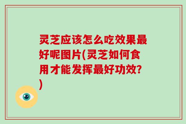 灵芝应该怎么吃效果好呢图片(灵芝如何食用才能发挥好功效？)