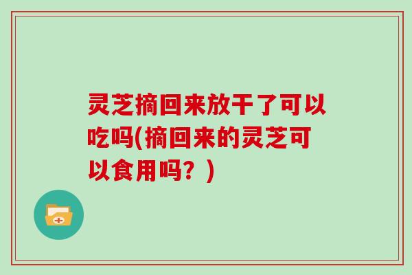 灵芝摘回来放干了可以吃吗(摘回来的灵芝可以食用吗？)