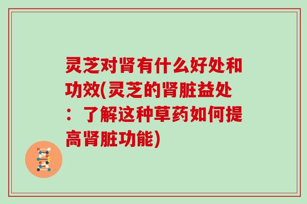 灵芝对有什么好处和功效(灵芝的脏益处：了解这种草药如何提高脏功能)