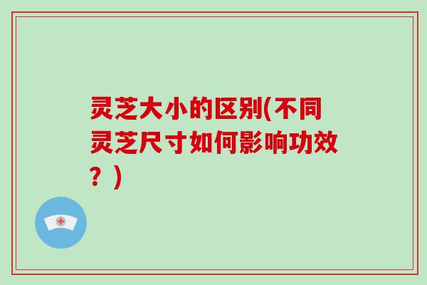 灵芝大小的区别(不同灵芝尺寸如何影响功效？)