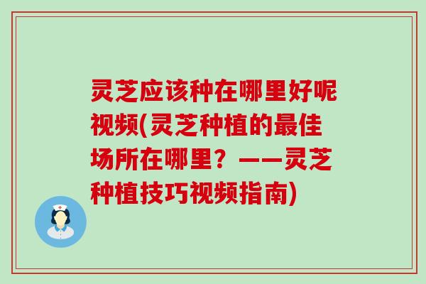 灵芝应该种在哪里好呢视频(灵芝种植的佳场所在哪里？——灵芝种植技巧视频指南)