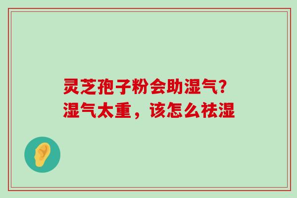 灵芝孢子粉会助湿气？湿气太重，该怎么祛湿