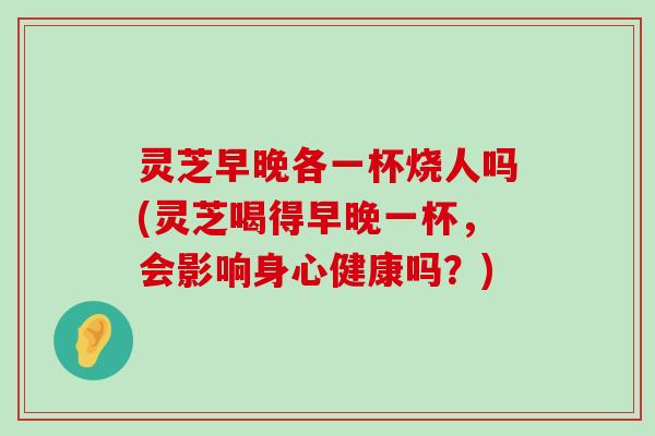 灵芝早晚各一杯烧人吗(灵芝喝得早晚一杯，会影响身心健康吗？)