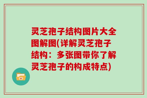 灵芝孢子结构图片大全图解图(详解灵芝孢子结构：多张图带你了解灵芝孢子的构成特点)