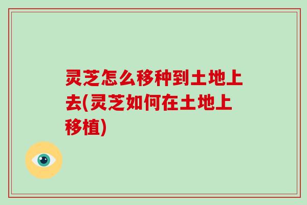 灵芝怎么移种到土地上去(灵芝如何在土地上移植)