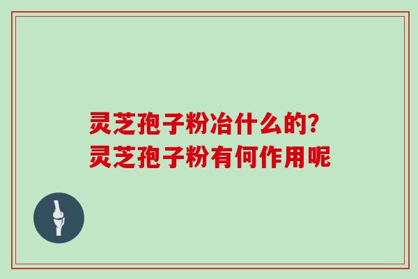 灵芝孢子粉冶什么的？灵芝孢子粉有何作用呢