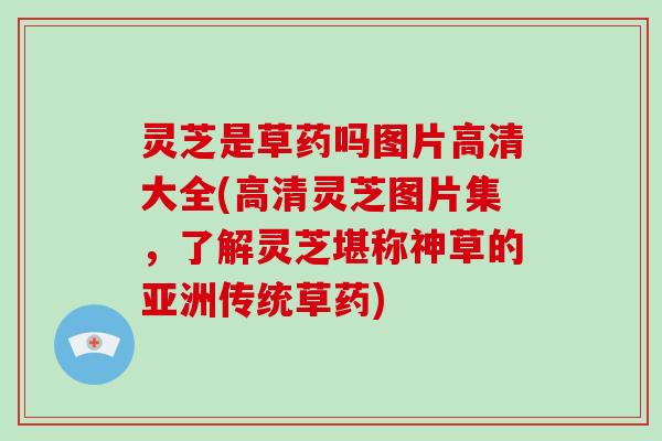 灵芝是草药吗图片高清大全(高清灵芝图片集，了解灵芝堪称神草的亚洲传统草药)