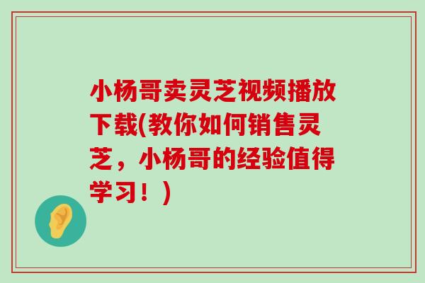 小杨哥卖灵芝视频播放下载(教你如何销售灵芝，小杨哥的经验值得学习！)