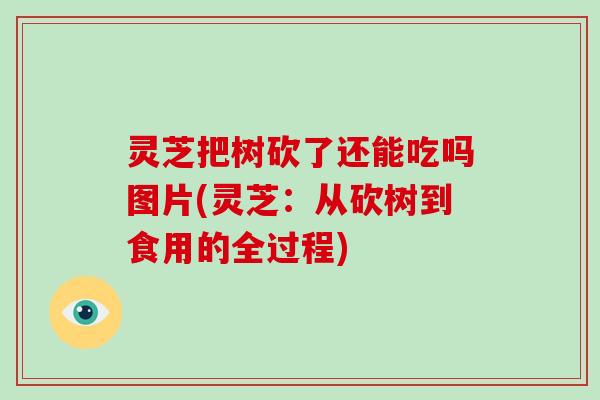 灵芝把树砍了还能吃吗图片(灵芝：从砍树到食用的全过程)