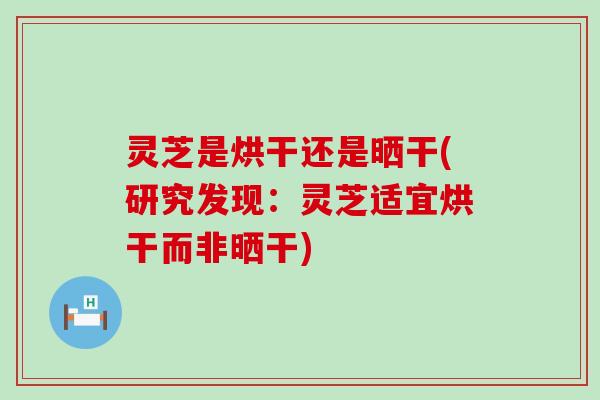 灵芝是烘干还是晒干(研究发现：灵芝适宜烘干而非晒干)