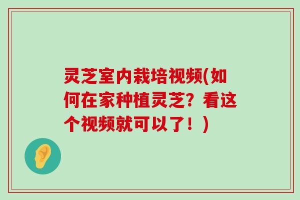 灵芝室内栽培视频(如何在家种植灵芝？看这个视频就可以了！)