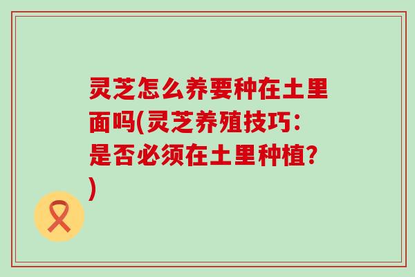 灵芝怎么养要种在土里面吗(灵芝养殖技巧：是否必须在土里种植？)