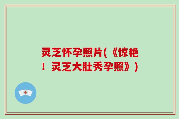 灵芝怀孕照片(《惊艳！灵芝大肚秀孕照》)