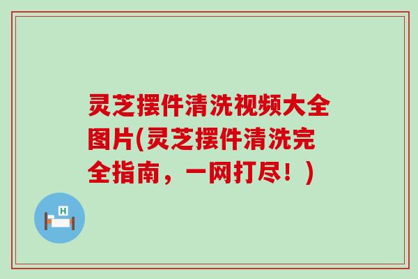 灵芝摆件清洗视频大全图片(灵芝摆件清洗完全指南，一网打尽！)