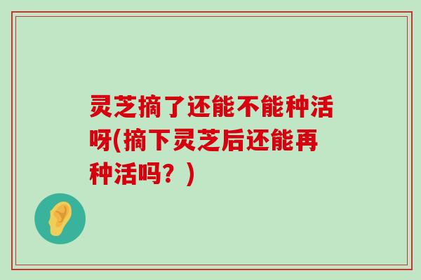 灵芝摘了还能不能种活呀(摘下灵芝后还能再种活吗？)