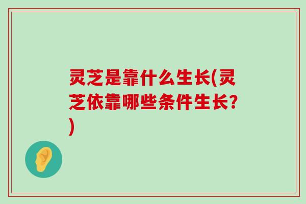 灵芝是靠什么生长(灵芝依靠哪些条件生长？)