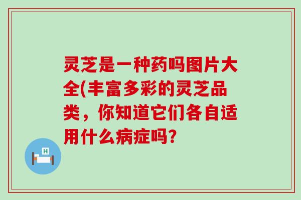 灵芝是一种药吗图片大全(丰富多彩的灵芝品类，你知道它们各自适用什么症吗？