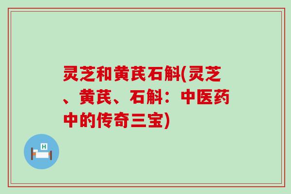 灵芝和黄芪石斛(灵芝、黄芪、石斛：中医药中的传奇三宝)