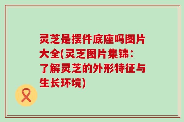 灵芝是摆件底座吗图片大全(灵芝图片集锦：了解灵芝的外形特征与生长环境)