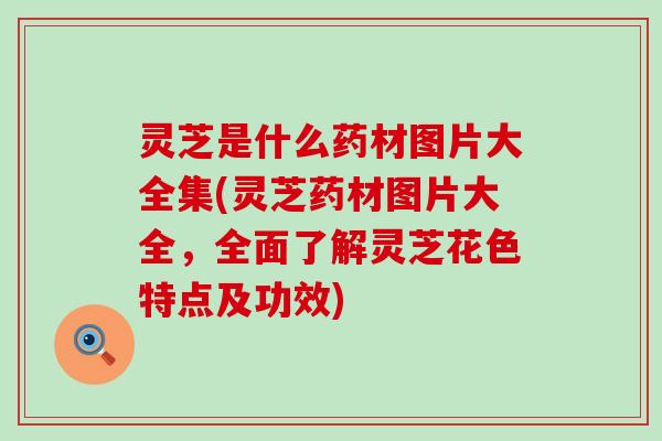 灵芝是什么药材图片大全集(灵芝药材图片大全，全面了解灵芝花色特点及功效)