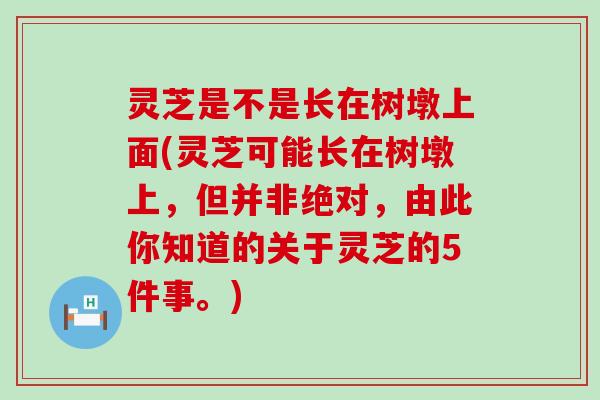 灵芝是不是长在树墩上面(灵芝可能长在树墩上，但并非绝对，由此你知道的关于灵芝的5件事。)