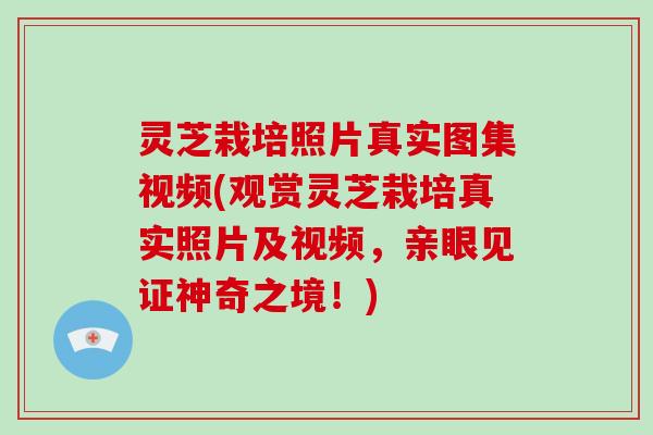 灵芝栽培照片真实图集视频(观赏灵芝栽培真实照片及视频，亲眼见证神奇之境！)