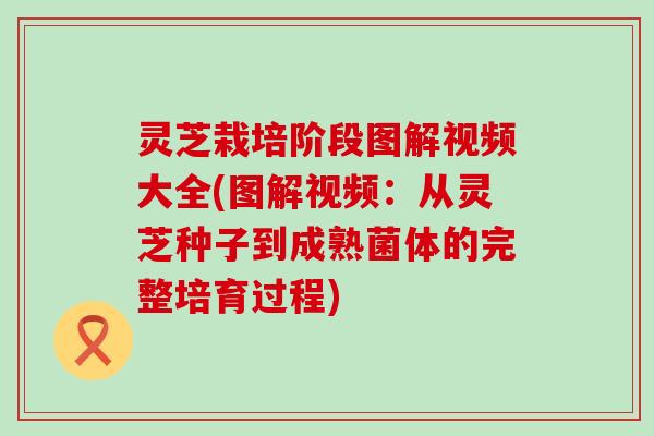 灵芝栽培阶段图解视频大全(图解视频：从灵芝种子到成熟菌体的完整培育过程)