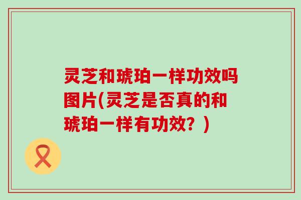 灵芝和琥珀一样功效吗图片(灵芝是否真的和琥珀一样有功效？)