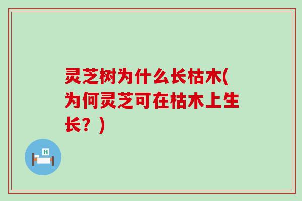 灵芝树为什么长枯木(为何灵芝可在枯木上生长？)