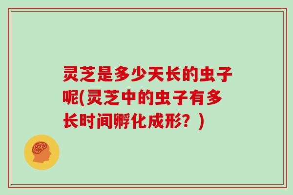 灵芝是多少天长的虫子呢(灵芝中的虫子有多长时间孵化成形？)