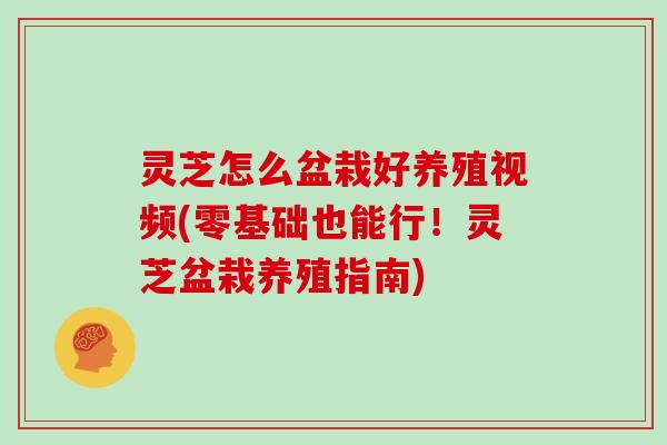 灵芝怎么盆栽好养殖视频(零基础也能行！灵芝盆栽养殖指南)