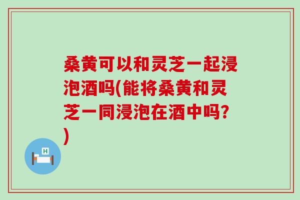 桑黄可以和灵芝一起浸泡酒吗(能将桑黄和灵芝一同浸泡在酒中吗？)